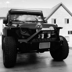 Meet your Posher, Magan